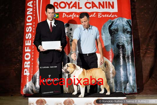 Clique sobre a foto para fechar